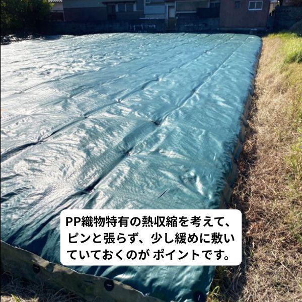 防草シート 密度135G 2m×100m グリーン UV剤入 抗菌剤入 135g平米 農用