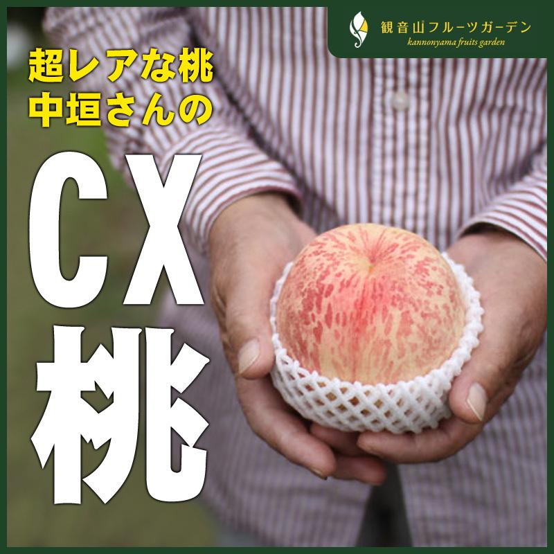超レアな桃 CX（シーエックス） 3玉 観音山フルーツガーデン 送料無料