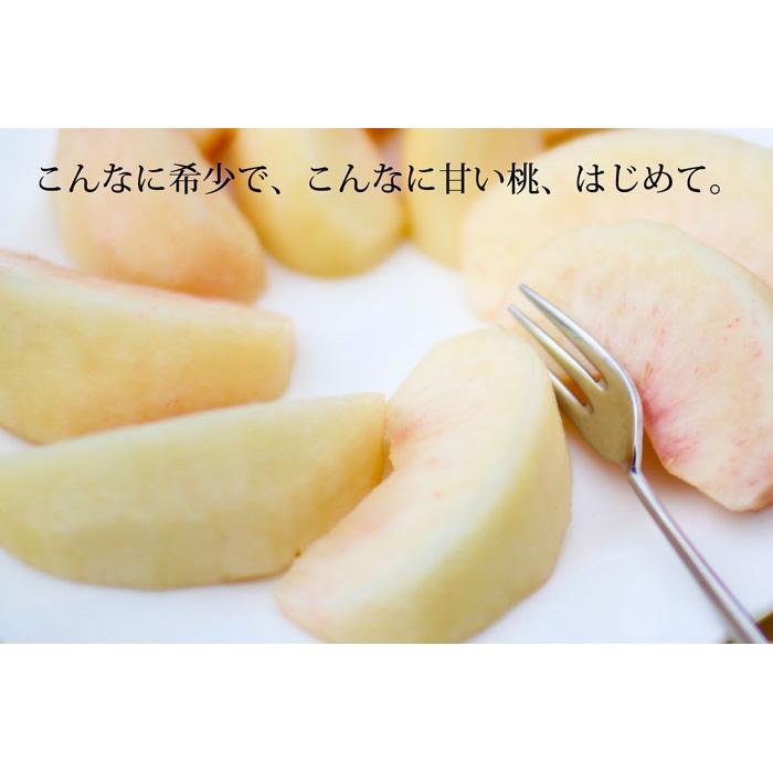 超レアな桃 CX（シーエックス） 3玉 観音山フルーツガーデン