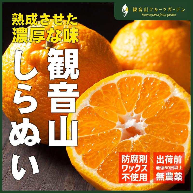 不知火 しらぬい デコ柑橘 凸凸 A級品 7kg 和歌山 観音山フルーツガーデン 送料無料