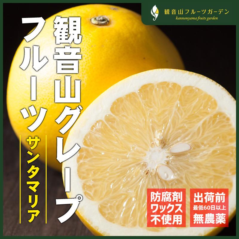 国産グレープフルーツ サンタマリア A級品 7kg 観音山フルーツガーデン 送料無料
