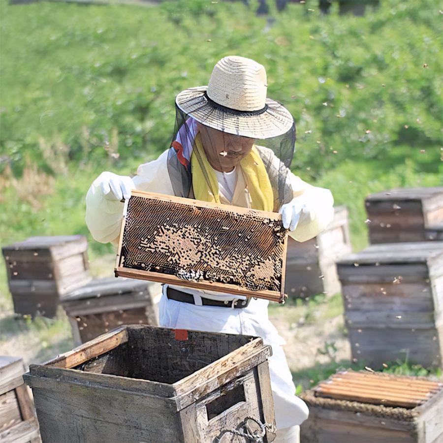 蜂蜜 みかん生はちみつ 令和7年産搾り ローハニー 1200g 観音山