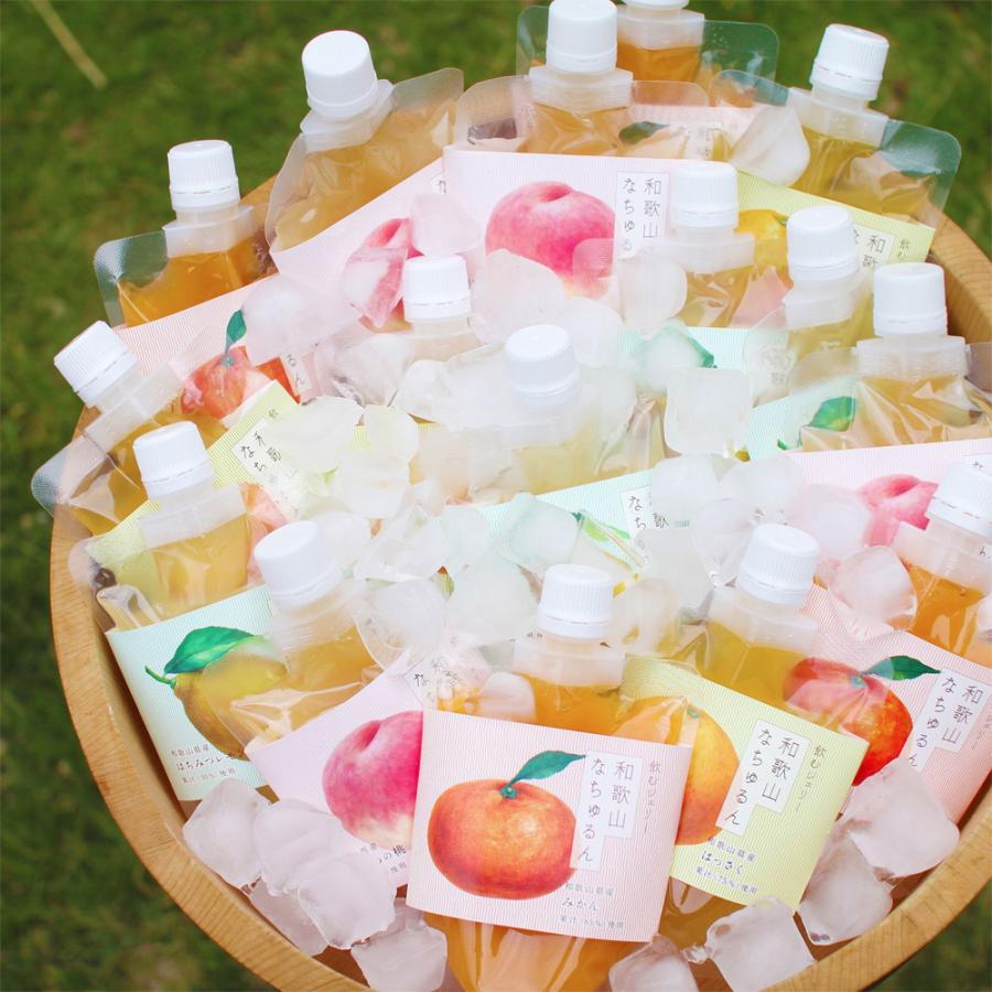 飲むジェリー 和歌山なちゅるん 12個セット ギフト箱入り 観音山