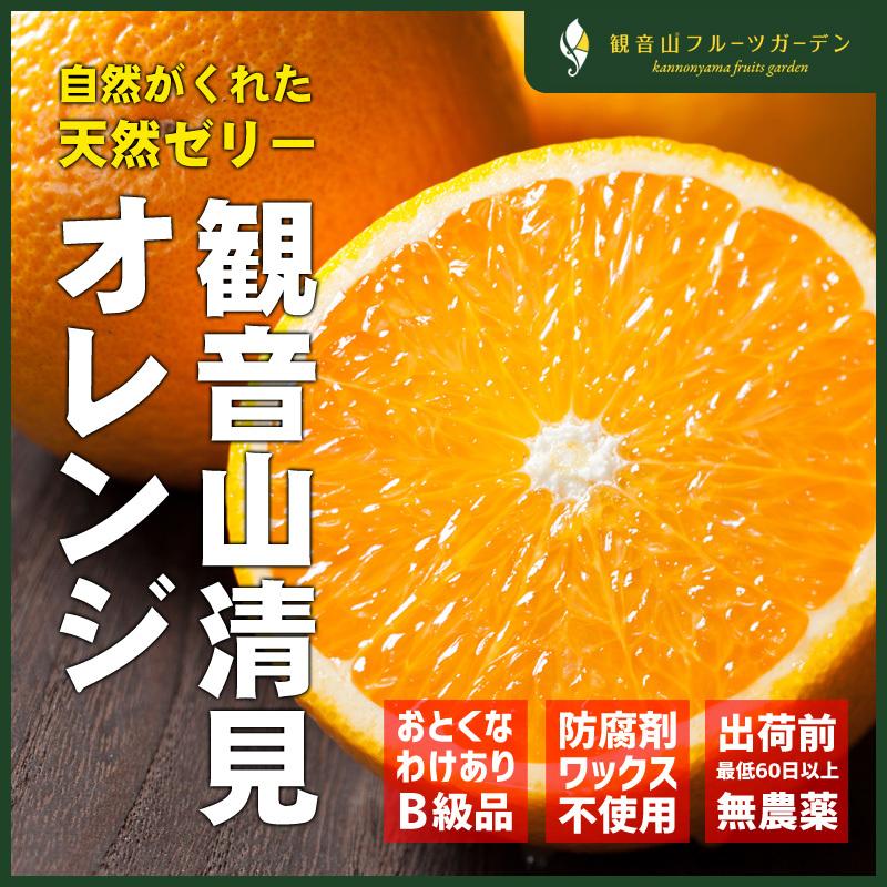 清見オレンジ おてんば娘 B級品 10kg 和歌山 観音山フルーツガーデン 送料無料｜kannonyama