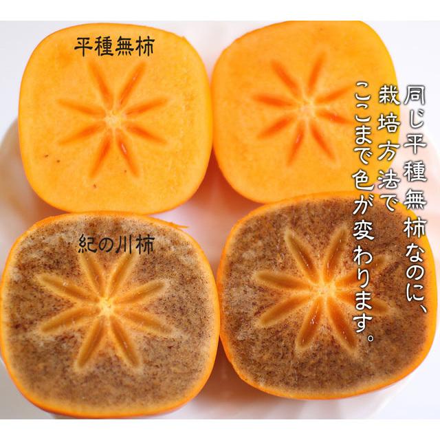 紀の川柿 黒あま蜜柿 4kg 観音山フルーツガーデン 送料無料 : 観音山