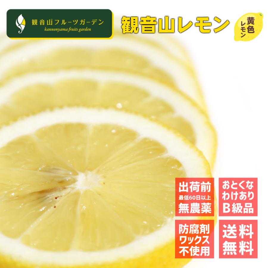 観音寺 LEMON レモンの木 檸檬 その１ 観音寺 LEMON レモンの木 檸檬 その1