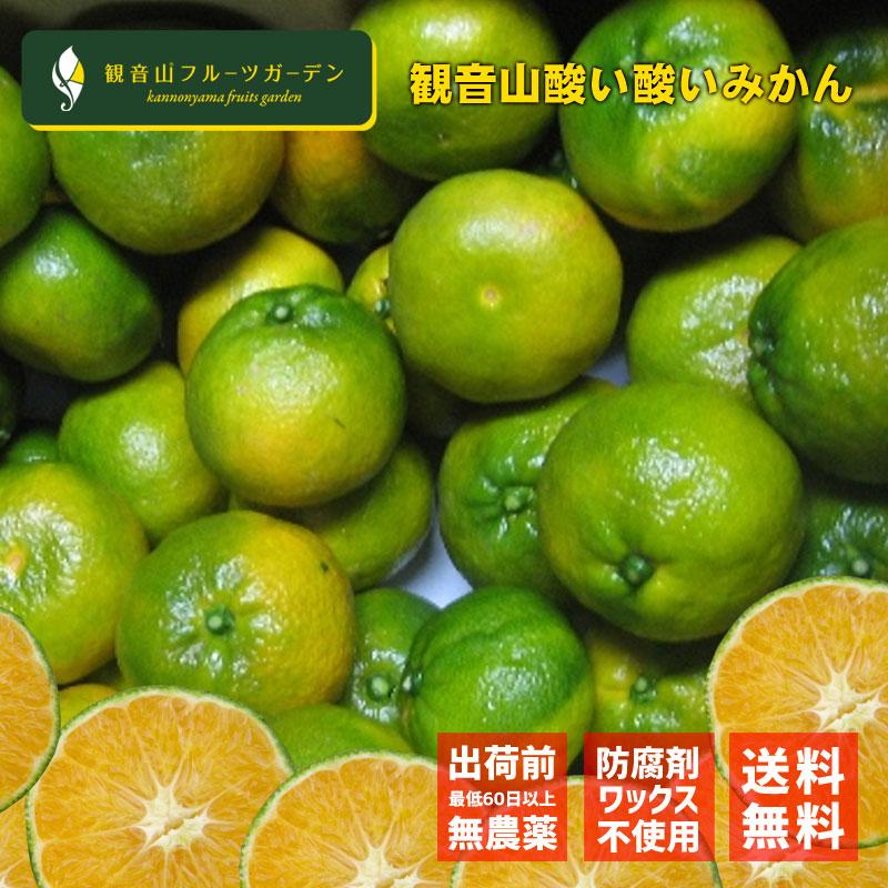 和歌山 観音山みかん 酸い酸い青みかん 7kg A級b級混合 和歌山県産みかん 観音山フルーツガーデン 送料無料 2misa7kg 観音山フルーツガーデン 通販 Yahoo ショッピング