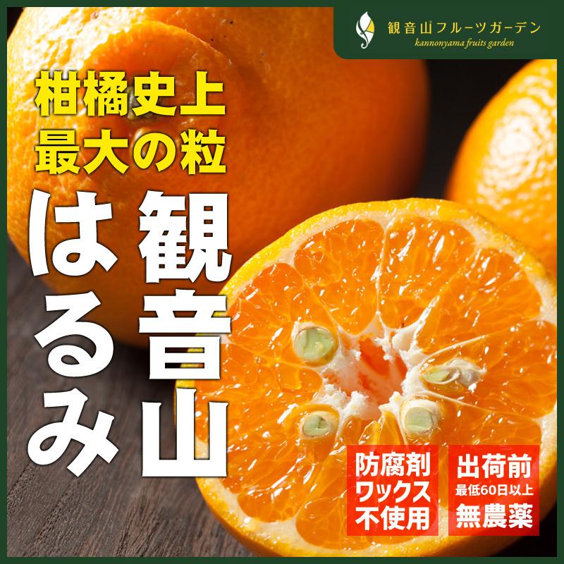 はるみ 健やかに A級品 7kg 和歌山 観音山フルーツガーデン 送料無料