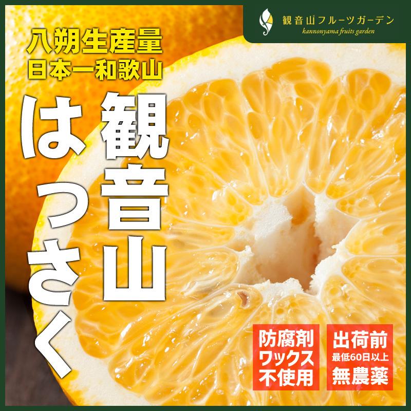 はっさく 紀州の満月 A級品 7kg 和歌山 観音山フルーツガーデン 送料無料