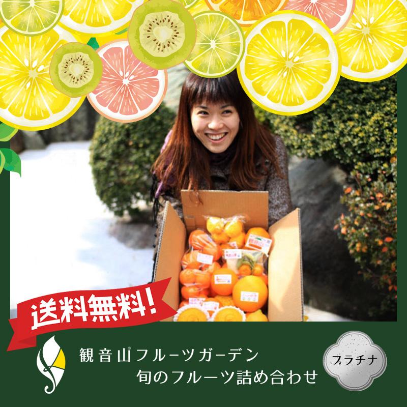 フルーツセット テレビ雑誌取材多数 イロトリドリ 観音山フルーツガーデン 旬のフルーツ詰め合わせセット 特選プラチナ 送料無料