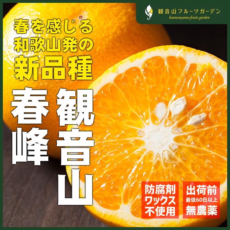 春峰 ハルカゼ A級 7kg 和歌山 観音山フルーツガーデン 送料無料