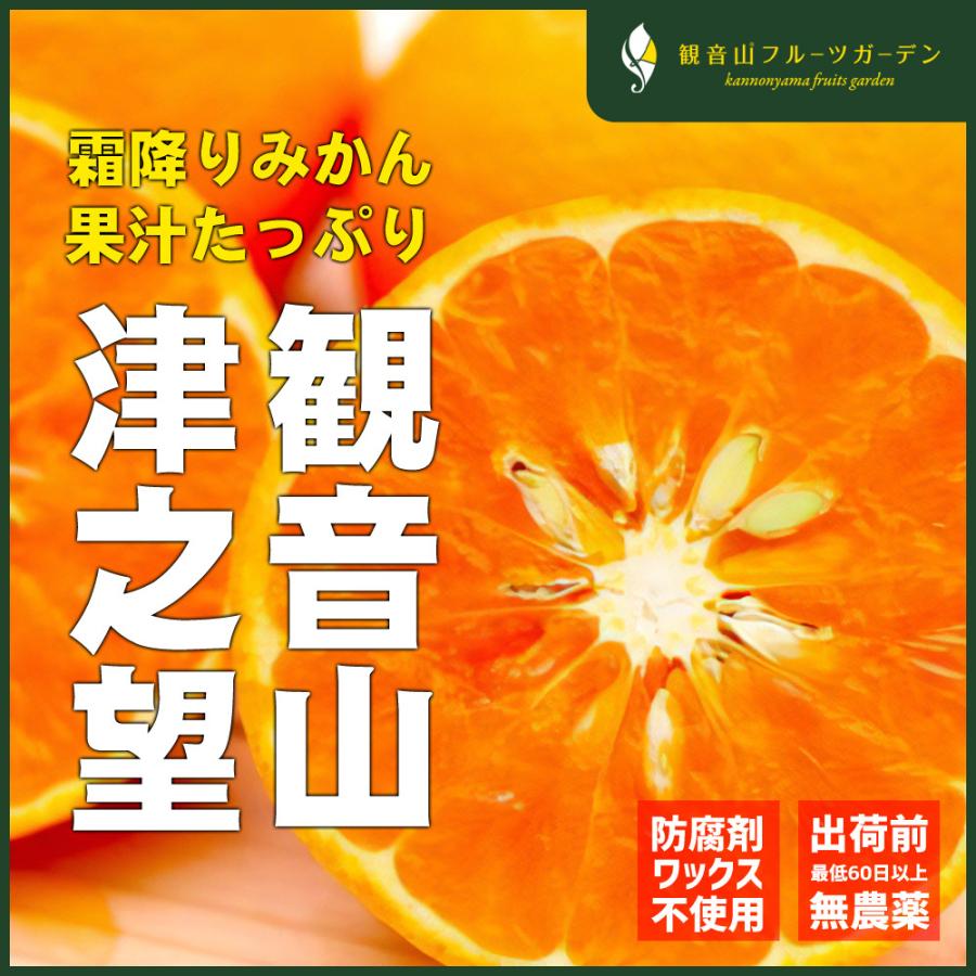 津之望 （つののぞみ） 霜降りみかん A級 4kg ノーワックス・ノー防腐