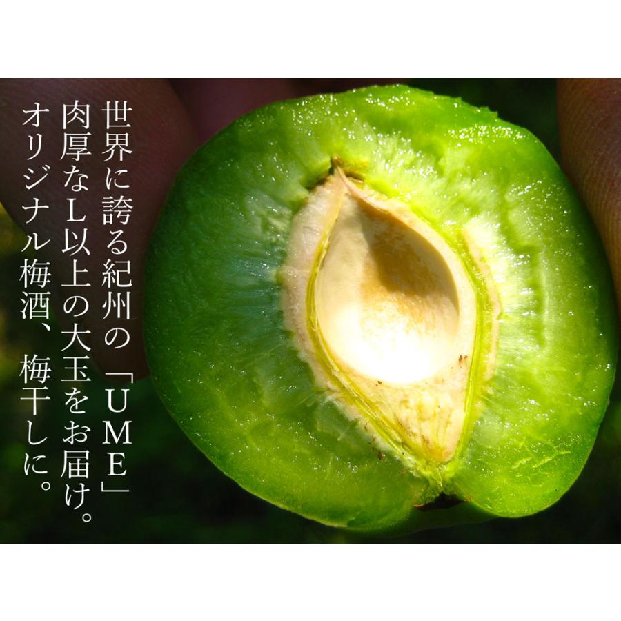 完熟梅（本場紀州産） A級 3kg 和歌山県産 観音山フルーツガーデン