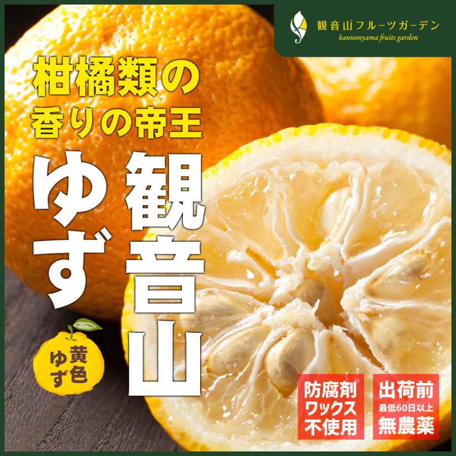 柚子 観音山 黄色ゆず A級 冬の薫り 2kg 減農薬、防腐剤ワックス不使用