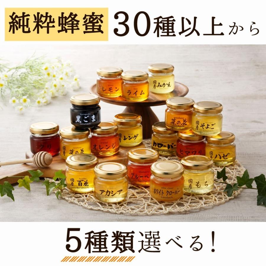 はちみつ 国産 外国産 蜂蜜 ハチミツ お試しセット 純粋蜂蜜30種以上 1つ90g から 5つ選べる はちみつ 5点セット メール便送料無料 蜂蜜専門店かの蜂｜kanohachi｜11