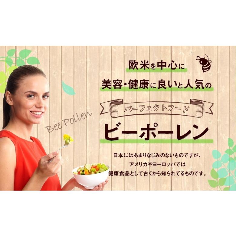 かの蜂 はちみつ 蜂蜜 ハチミツ 蜂花粉 ビーポーレン 125g 自然食品