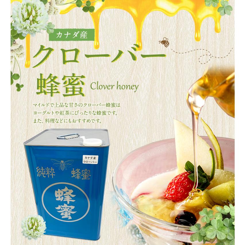かの蜂 厳選 クローバー蜂蜜 カナダ産 24kg 一斗缶 大容量 業務用