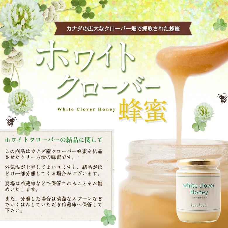 白いクリーム状結晶ハチミツ300g×3本 【公式通販】
