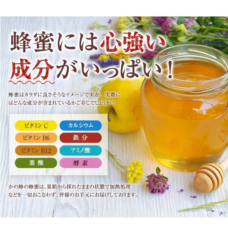 かの蜂 はちみつ 国産 蜂蜜 ハチミツ 百花はちみつ 300g はちみつ専門
