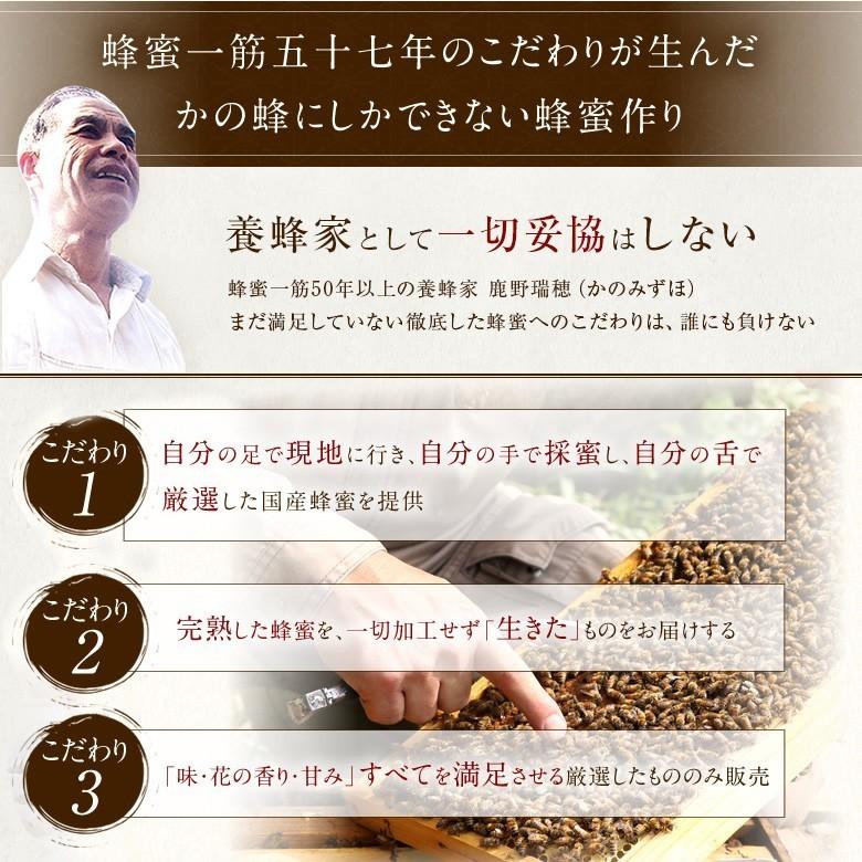 はちみつ 国産 蜂蜜 ハチミツ 百花蜂蜜 とんがり容器 500g  はちみつ専門店 かの蜂 爆買 | かの蜂 | 03