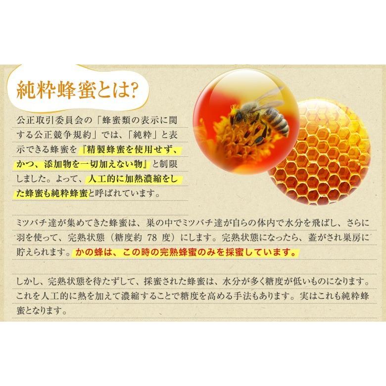 はちみつ 国産 蜂蜜 ハチミツ 百花蜂蜜 とんがり容器 500g  はちみつ専門店 かの蜂 爆買 | かの蜂 | 06