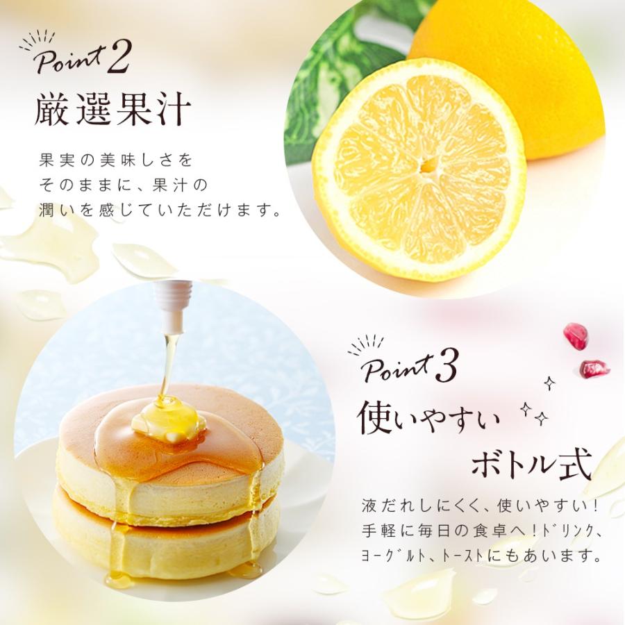 はちみつ 蜂蜜 ハチミツ 果汁入りはちみつ 500g 1本 単品 果汁蜜 ブルーベリー ザクロ レモン ゆず はちみつ 蜂蜜 はちみつ専門店 かの蜂｜kanohachi｜10