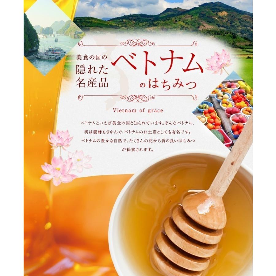 はちみつ 蜂蜜 ハチミツ 大容量 業務用 ライチ蜂蜜 ベトナム産 24kg 一斗缶 はちみつ専門店 かの蜂 ※発送まで1〜2週間ほどかかります。の画像