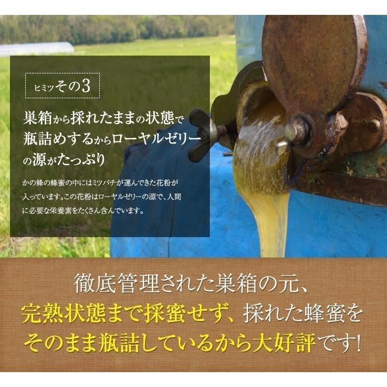 はちみつ 国産 外国産 蜂蜜 ハチミツ お試しセット エコパック 純粋蜂蜜30種以上 1つ90g から 5つ選べる はちみつ 5点セット メール便送料無料 蜂蜜専門店かの蜂｜kanohachi｜08