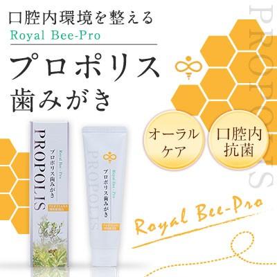 プロポリス歯磨き粉 100g プロポリ歯みがき プロポリス 蜂蜜専門店 かの蜂 Propolis 2 かの蜂 通販 Yahoo ショッピング