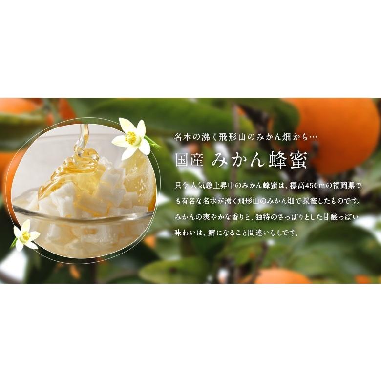 はちみつ 国産 蜂蜜 ハチミツ ギフト プレミアムギフト 1000g×2本セット 国産九州れんげ 国産みかん 送料無料 蜂蜜専門店 かの蜂_3