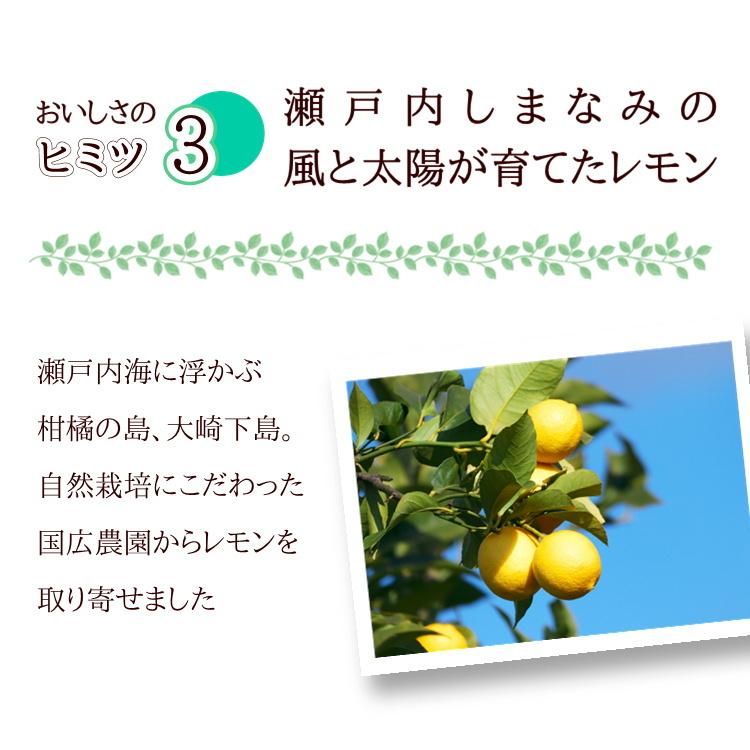 しまなみレモン チーズケーキ 取り寄せ 瀬戸内 レモン すっぱさが広がる ギフト 誕生日 スイーツ 大崎下島産の自然農法レモン 5号 内祝 香のか |  | 06