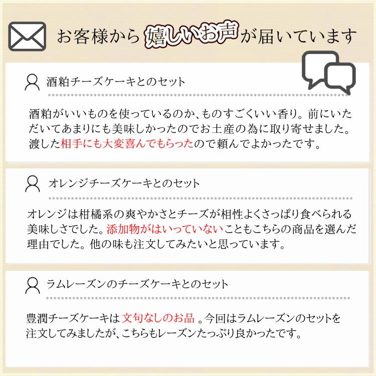 チーズケーキセット 取り寄せ 人気の豊潤とゴルゴンゾーラチーズケーキの組み合わせ  誕生日 ギフト プレゼント お取り寄せ 内祝 香のか｜kanoka-cake｜05
