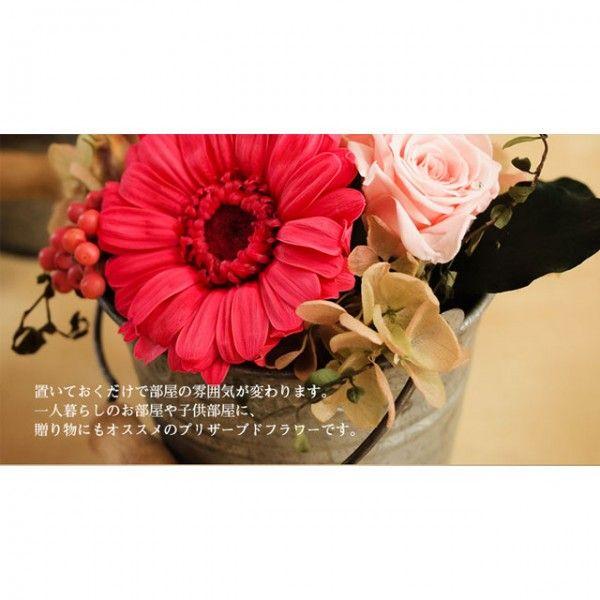 誕生日プレゼントに プリザーブドフラワー ガーベラのブリキバケツ  