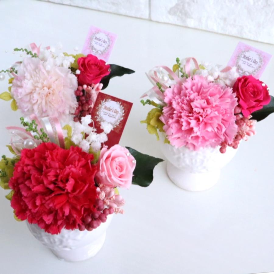 カーネーション プリザーブドフラワー フラワーギフト 贈り物 プレゼント ピッコロ mother 's day 83 41プリザーブド