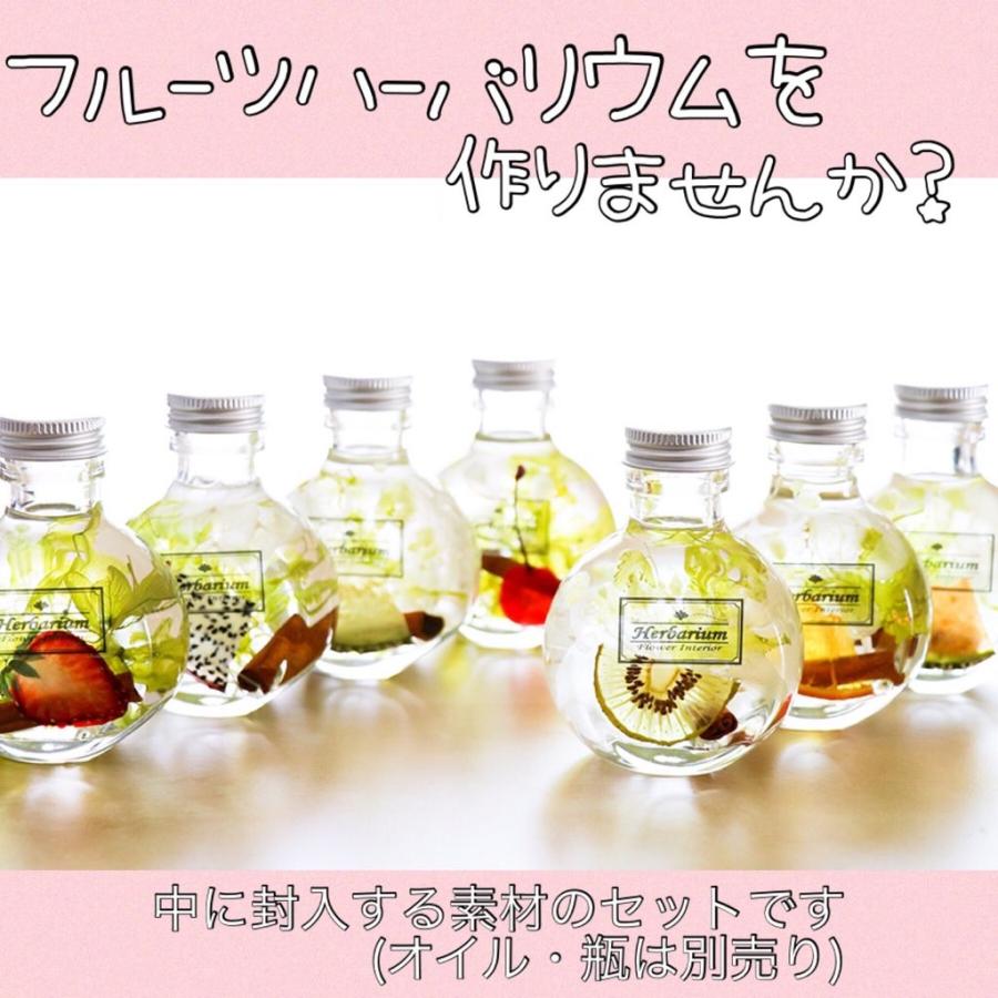フルーツ ハーバリウム 花材セット オレンジ イチゴ etc ... 花材  