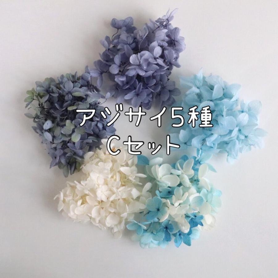 百貨店 アジサイ 2種類セット プリザーブド加工 ハーバリウム レジン キット ポイント 花材 あじさい お試し 封入 素材 紫陽花 送料無料 117