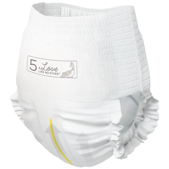 BAMBO Nature バンボネイチャー 紙おむつ 5号（12-18kg）20枚 パンツ