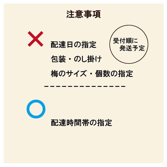 叶匠壽庵 【2026予約販売】城州白梅（じょうしゅうはくばい）1kg