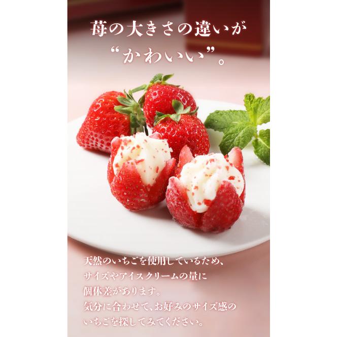 お中元 22 御中元 アイスクリーム ギフト アイス スイーツ 詰め合わせ おしゃれ 内祝い お祝い 贈り物 お花のようないちごアイス 苺アイスクリームセット 鹿野屋 Kanoya 通販 Yahoo ショッピング