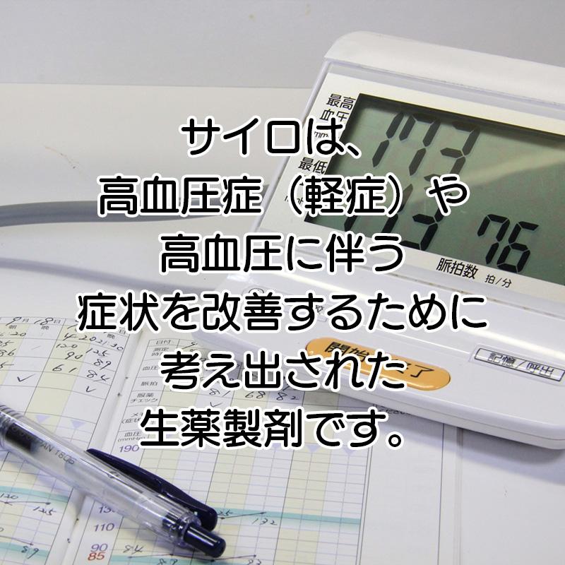 サイロ 240カプセル ホノミ 漢方 第2類医薬品｜kanpo-no-sakamoto｜02