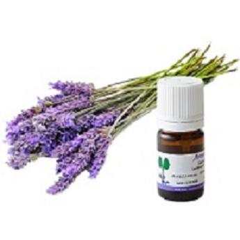 ラベンダー アングスティフォリア 10ｍｌ Lavandefine 漢方のイナイ 通販 Yahoo ショッピング