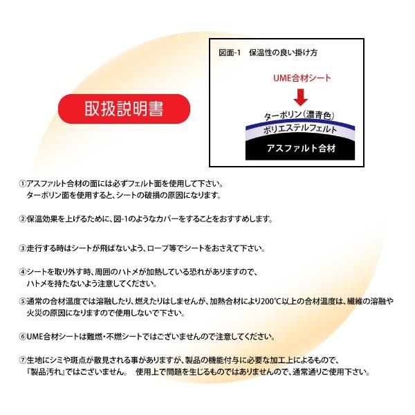 ヴィパッサナー瞑想 ミャンマーの瞑想―解脱へのプロセスを歩む修行者のための実践… ヴィパッサナー瞑想 ミャンマーの瞑想-解脱へのプロセスを歩む修行者の