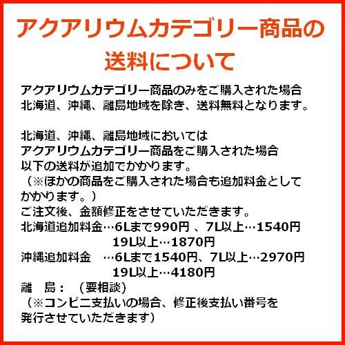 淡水・海水両用ろ材 バイオレジェンドUR (12L)（3L×4袋）PP製 リング 発泡 担体 ろ過 関西化工の画像