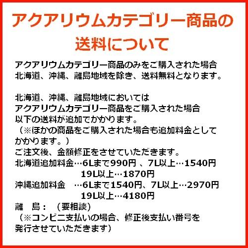 淡水・海水両用ろ材 バイオレジェンドUR (54L) PP製 リング 発泡 担体 ろ過 関西化工の画像