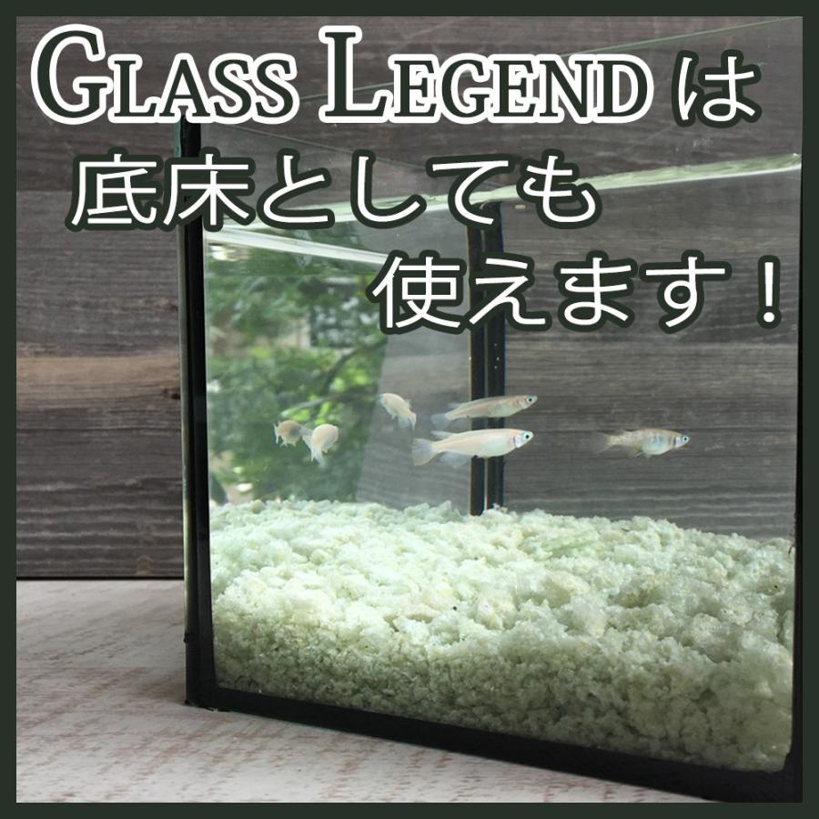 底床 ろ材 担体 ガラス グラスレジェンド 関西化工 6l 3l 2 関西化工 Gl 06 水処理部品の関西化工株式会社 通販 Yahoo ショッピング