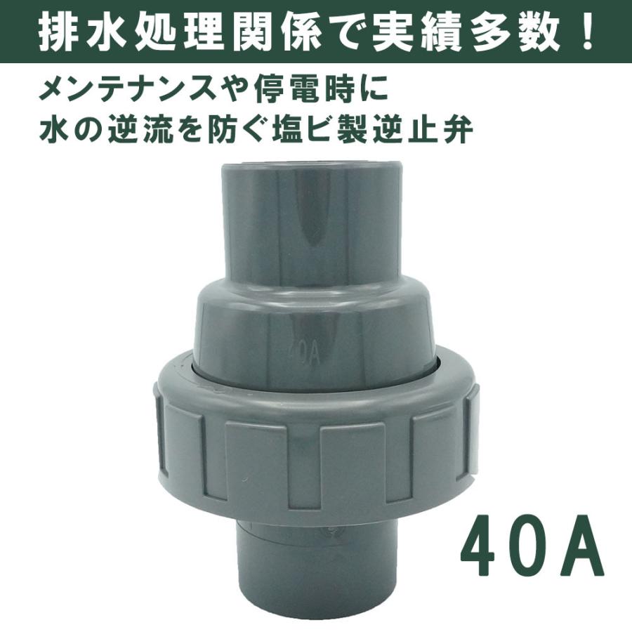 振袖 豪華 金彩 紋意匠 牡丹 大輪 身丈167cm パールトーン加工済