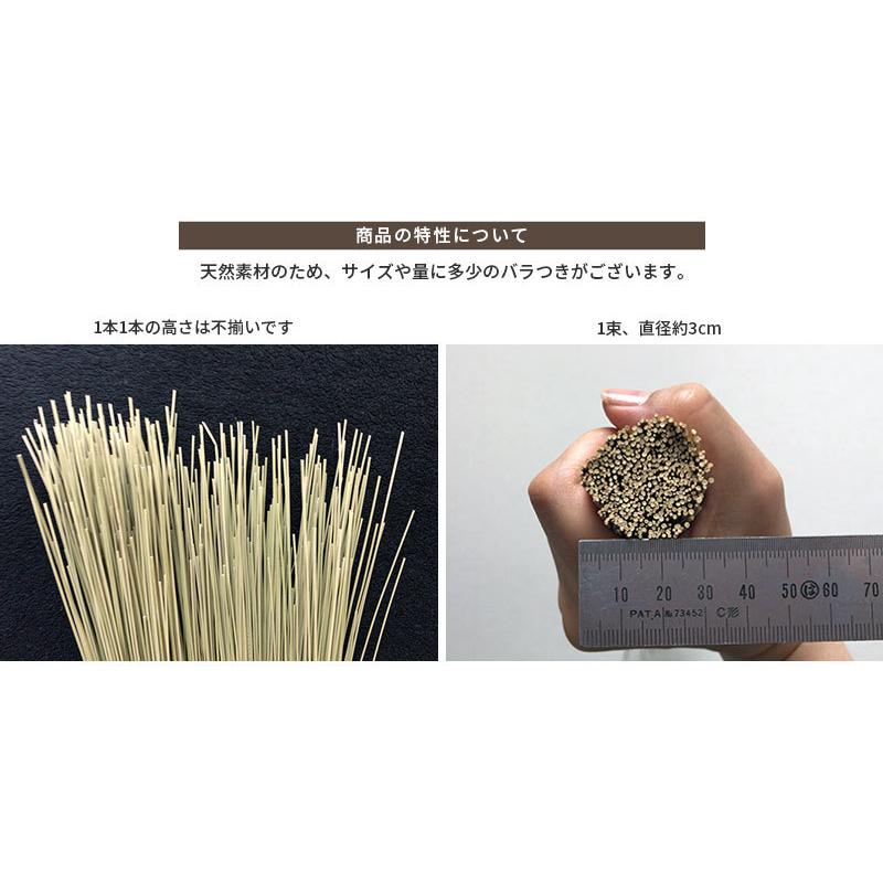 すっぴんい草 『香雅美草（かがみそう）』 熊本県産 無着色いぐさ 消臭