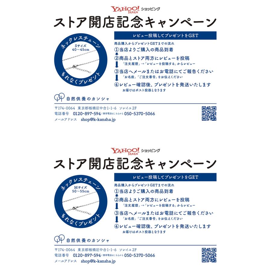 ALLES Memorial Jewelry 遺骨ペンダント シルバーV925 ＆ ステンレスチェーン 手元供養 遺骨ネックレス ティアドロップ コンパクト 遺骨入れ_2