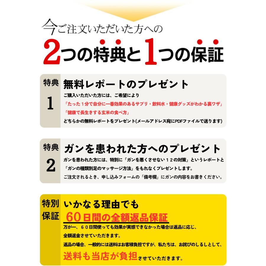 バドガシュタイン鉱石 700g（お風呂用・汚れ有り） ラドン風呂 ホルミシス効果 温浴効果 ラジウム226｜kansokudetox｜03