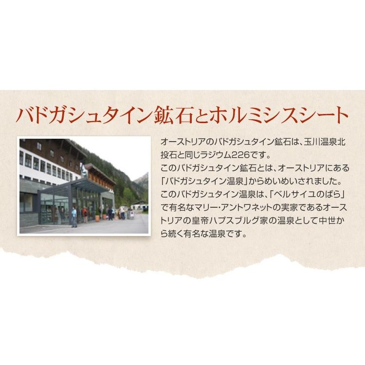 ホルミシスシート スーパー10 玉川温泉 岩盤浴 最高放射線量の ホルミシスシート スーパー10 玉川温泉 岩盤浴 最高放射線量の